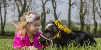 Stellar line-up for Cork Summer Show 2019