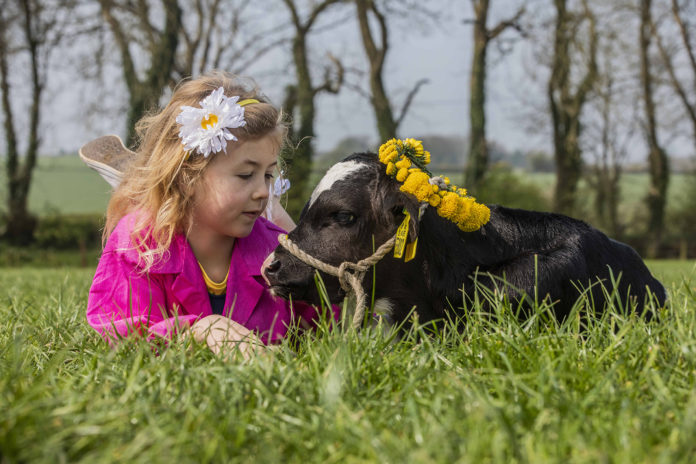 Cork Summer Show 2019 Launch Web@07-05-2019-17:01:53.jpg