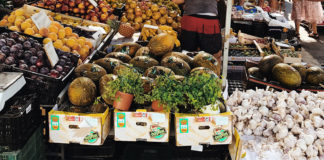 Casual trader to cease trading in Mitchelstown on Saturdays