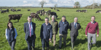 Celebrating 25 years of joint programme success