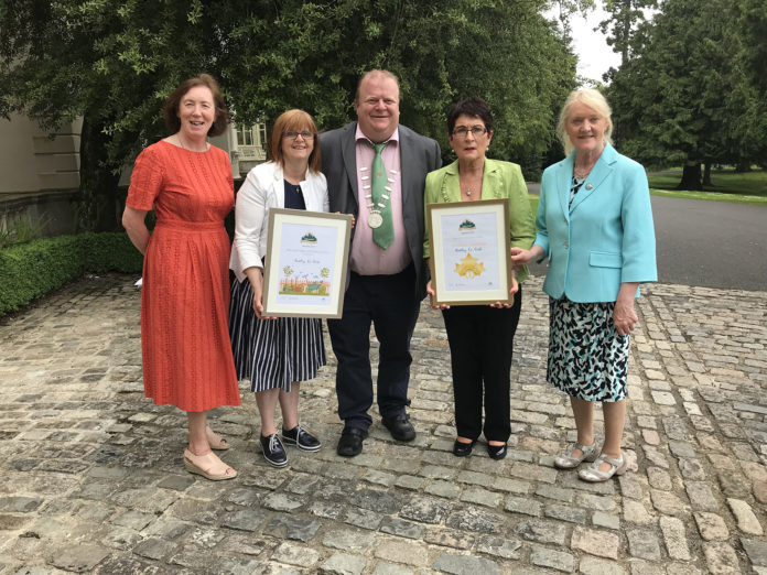 Bantry Best Kept Town Awards 2019@25-06-2019-17:13:55.jpg