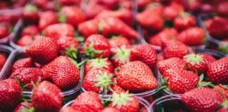 Celebrate Strawberry season and support Irish producers – IFA