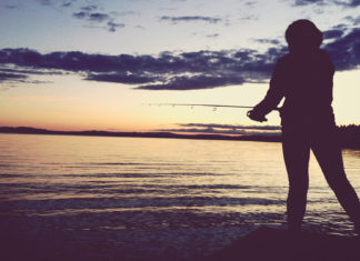 Inland Fisheries Ireland warns anglers of rogue fishing license website