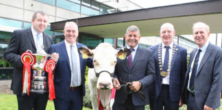 Farmers invited to compete in ‘Bailey’s Cow’ competition