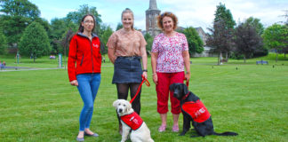 Puppy love in Fermoy