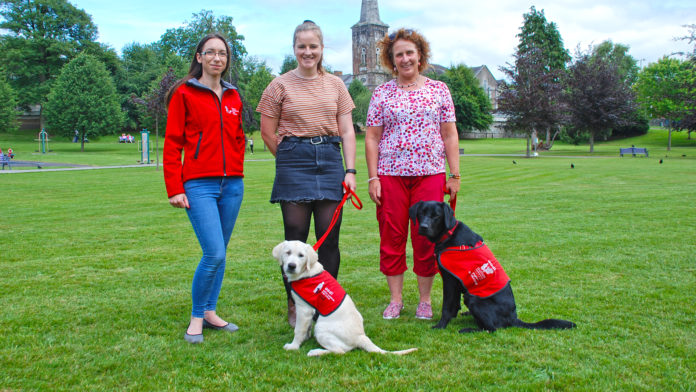 Zeus assistance dog - web@17-07-2019-18:36:54.jpg