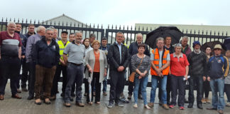 ‘Minister needs to end inaction and intervene in beef crisis’