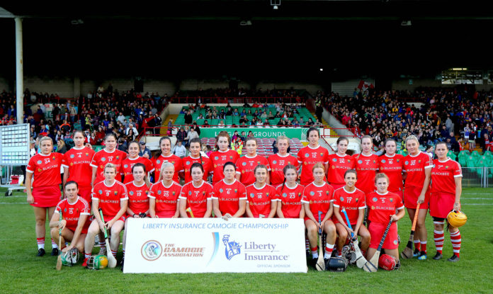 Cork panel 17/8/2019