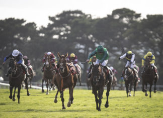 Jody Townend lights up Galway Festival