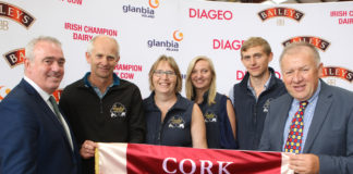 Final call for County Cork breeders to enter top dairy contest