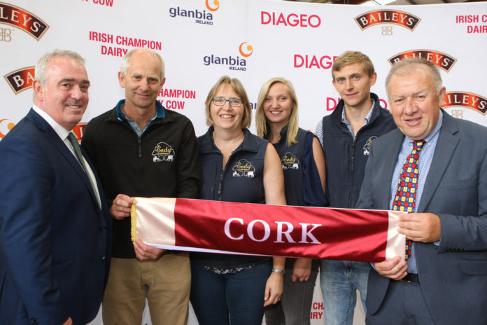 R&S helen Co Cork - web@07-08-2019-21:51:23.jpg