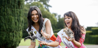 Dáithí Ó Sé introduces the 32 hopeful roses at the RTÉ Rose of Tralee launch