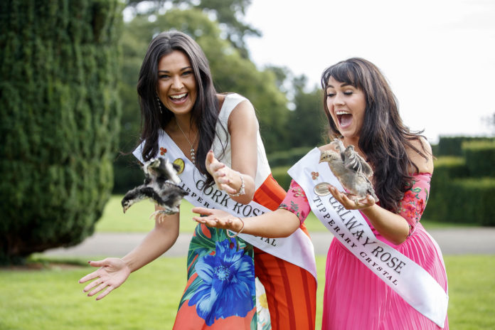 Rose of Tralee 016