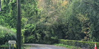 Status Orange Wind Weather Warning Issued