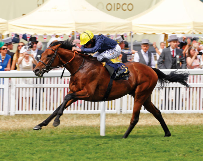 CrystalOcean Hardwicke Stakes - Royal Ascot 2018 - web@30-10-2019-16:29:03.jpg