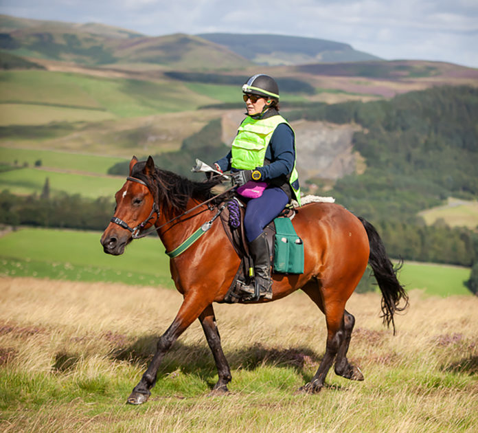 Elaine Dolan Crowley - web@30-10-2019-10:10:14.jpg
