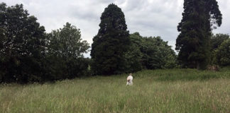 Bridget: “We need to find the Bessborough Babies, and we need to name them”