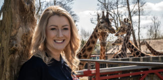 Brand new series ‘Fota: Into the Wild’ launches on Virgin Media One