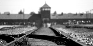 The Boy in the Stinging Rebuke from Auschwitz