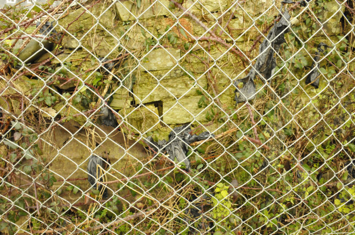 Dog fouling st colmans park - web@15-01-2020-11:53:19.jpg