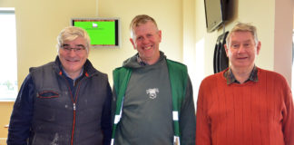 Greens, blueshirts and rainbows – nothing black and white about election outcome