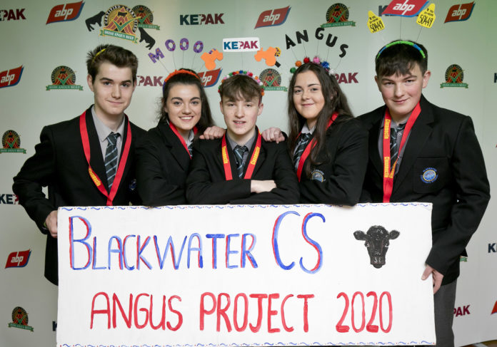 Waterford Blackwater Angus 2020-web@10-03-2020-16:04:38.jpg