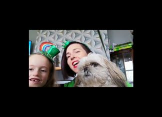 Apart But Together on St Patrick’s Day