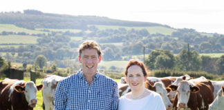 ‘Buy local’ appeal to consumers as cheese sales fall