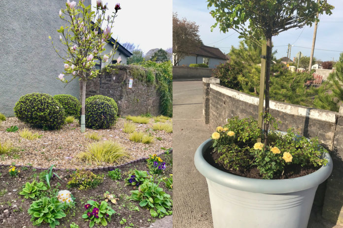 Fermoy Tidy Towns Planting@29-04-2020-11:52:05.jpg
