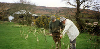 April Fools: would you have fallen for it?