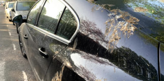 How artificial bird droppings keep your paintwork safe in the real world
