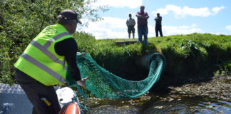 Fermoy’s environmentalist and his simple pollution solution
