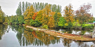 Funding boost for Fermoy Weir