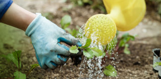 Irish Water urges public to choose handwashing over powerwashing