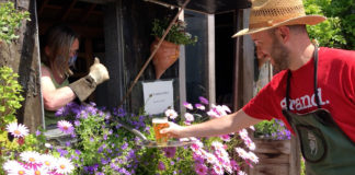 Fermoy garden wins ‘Best Craic’ at Bloom’s online festival