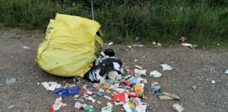 Illegal dumping mars scenic spot