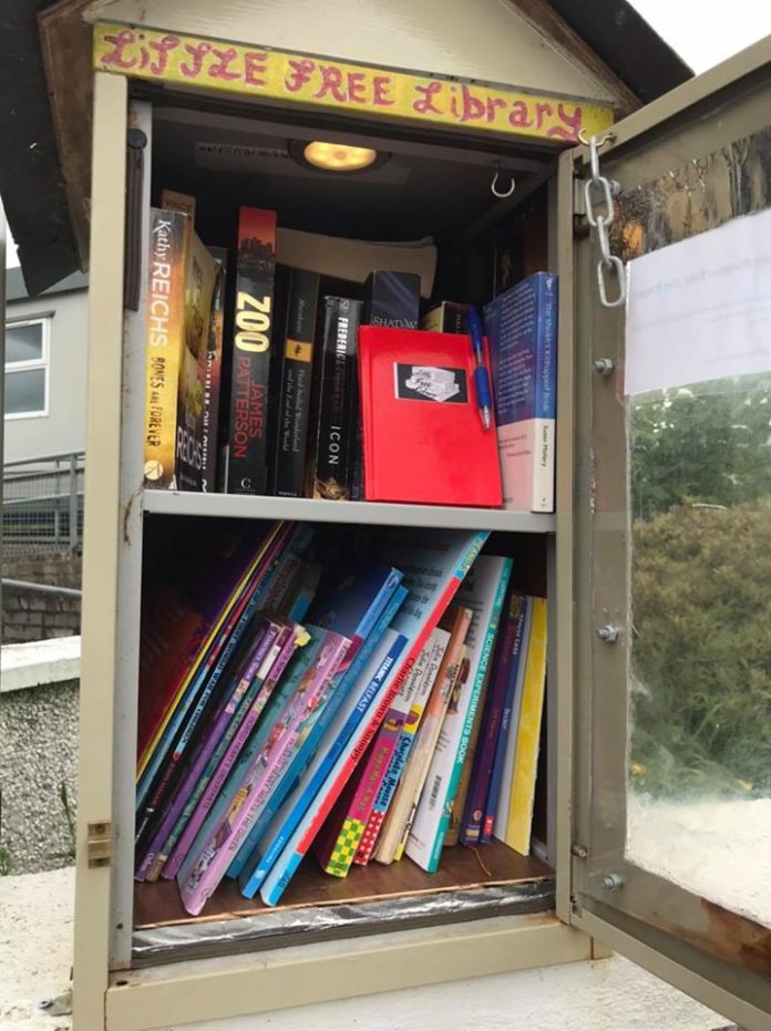 Upper Glanmire Little Free Library (1)@29-05-2020-16:47:51.jpg