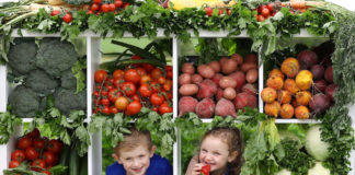 Irish people not hitting healthy eating targets