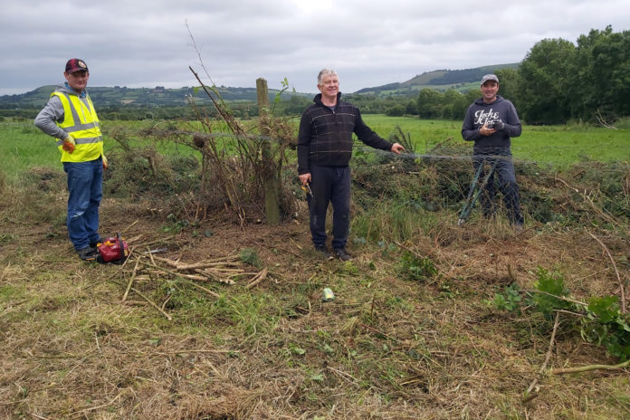 Glenroe removing the bushes - web@08-07-2020-11:16:07.jpg