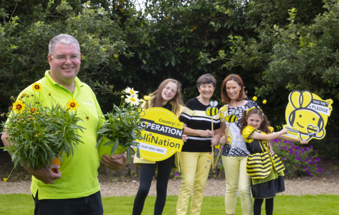 Pollinator Pledge Glanbia Countrylife 2020@21-07-2020-10:43:14.jpg