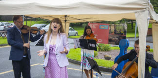 Covid Care Concerts in Lismore and Cappoquin