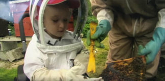 60,000 honey bees in young Rian’s care