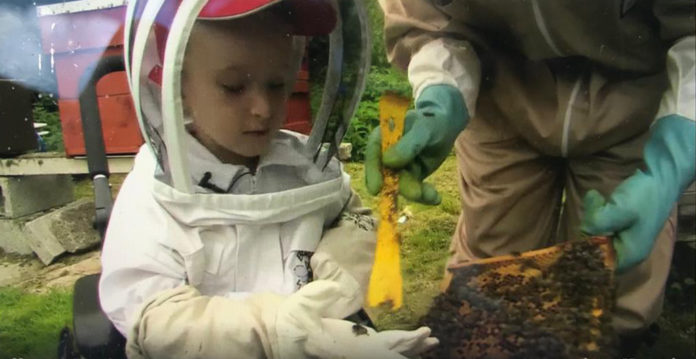 Rian Somers Rathcormac Beekeeper 2@12-08-2020-10:02:02.jpg