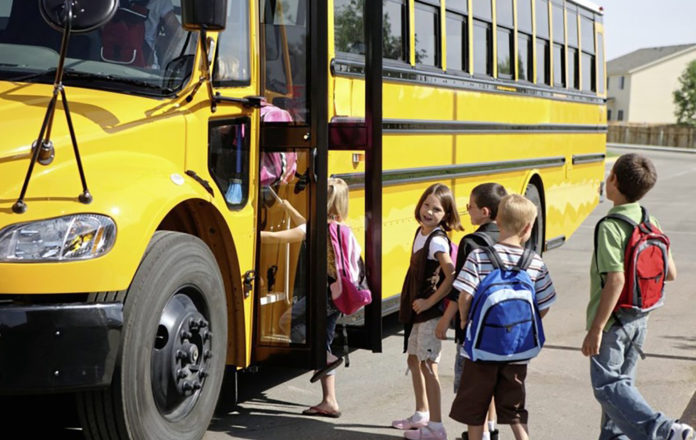 School Bus School Transport Web Stock@19-08-2020-18:43:55.jpg