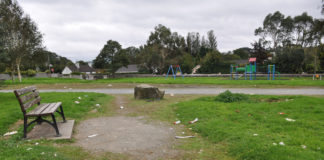 Appeal to help with anti-social behaviour at park