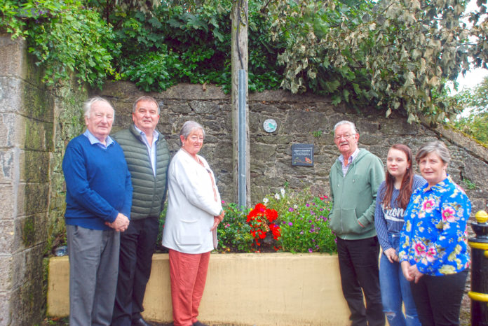 Clare's Garden Quarry Lane Fermoy 1 - web@02-09-2020-15:47:54.jpg