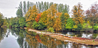 Remediation of weir and fish bypass to go for planning