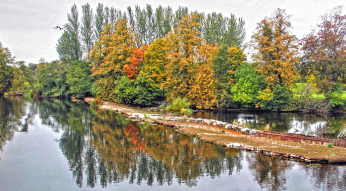 Fermoy Weir: a handy cut-out-and-keep guide