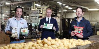 ‘Health Passport Ireland’ digital platform to support increased Covid testing