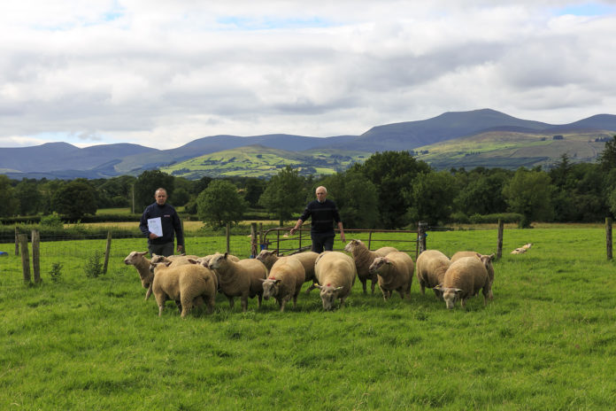 RDS 1 Ballyporeen Farmers - web@02-09-2020-10:37:44.jpg